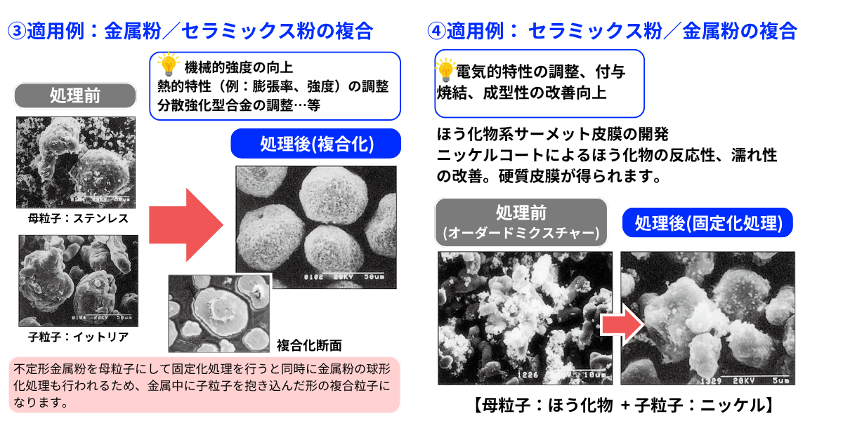 ハイブリダイゼーションシステム (NHS)