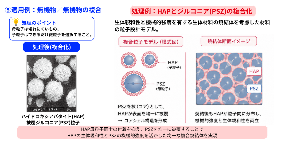 ハイブリダイゼーションシステム (NHS)