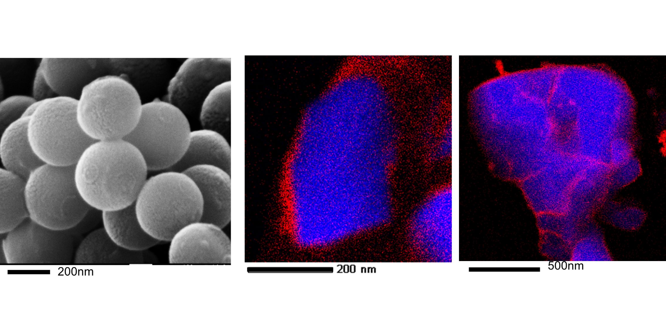 「湿式サブミクロン・ナノ粒子複合化技術」の量産化