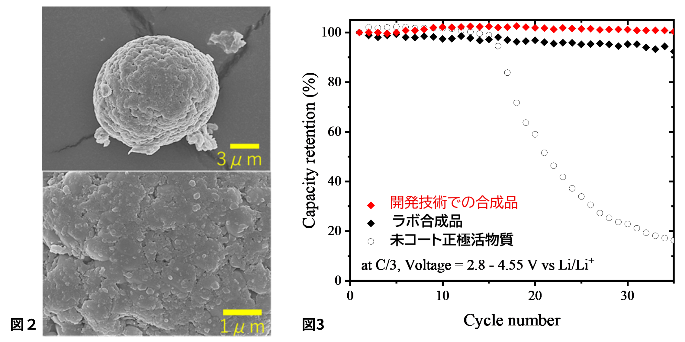 図2　開発技術でコート複合化したコアシェル粒子のFE-SEM観察像