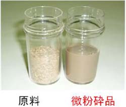原料と微粉砕品