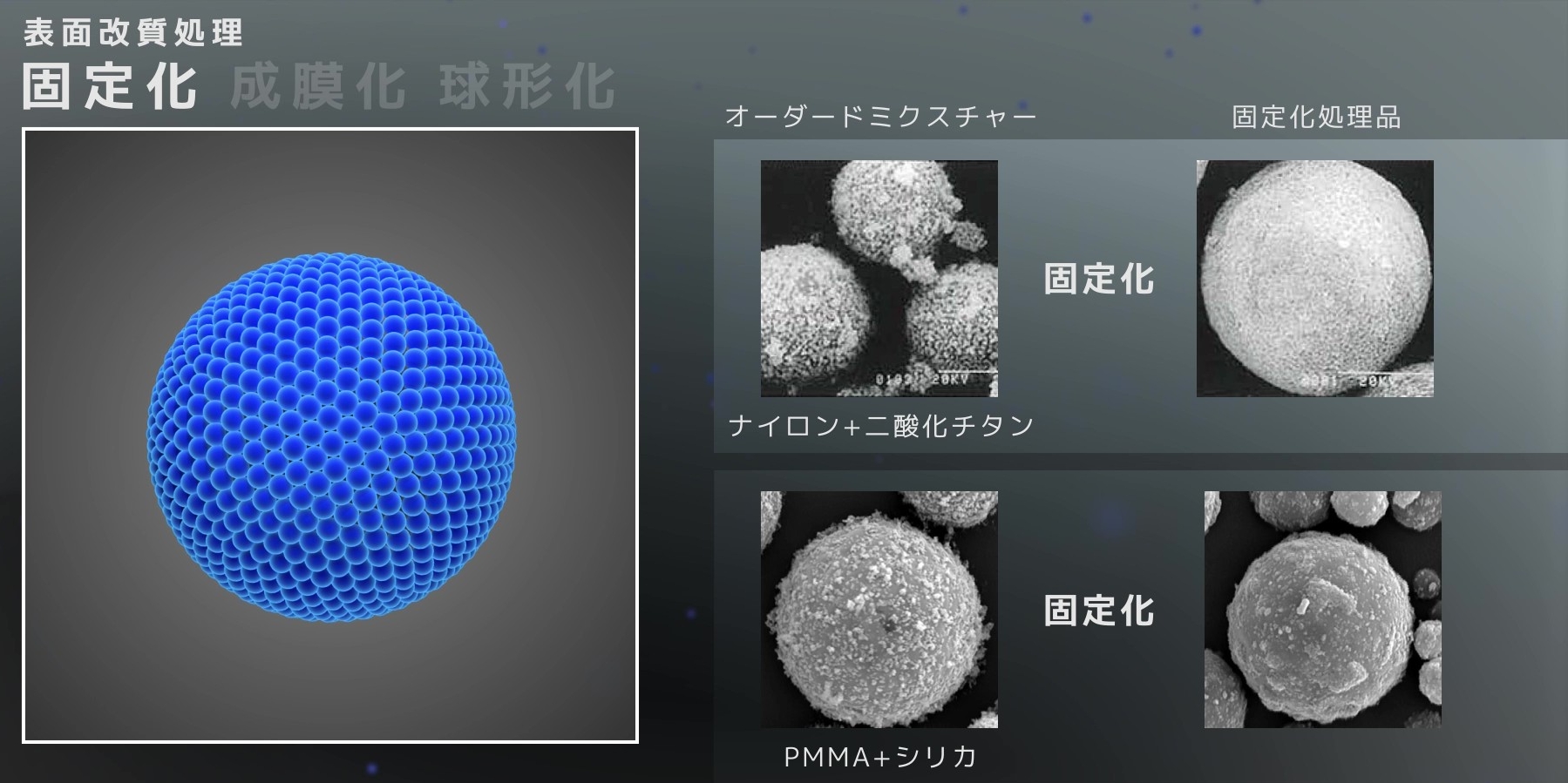 固定化